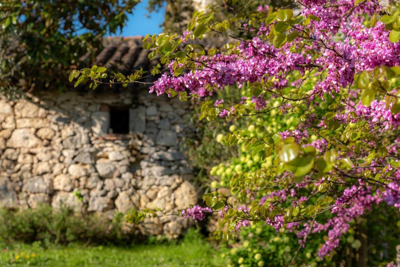 La Maison De Yuka Plieux Екстер'єр фото